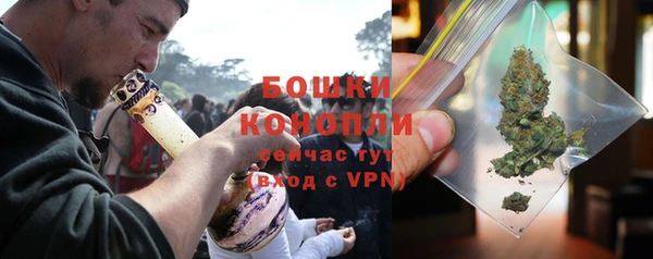 спиды Богородск