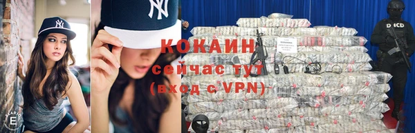 ALPHA PVP Богородицк